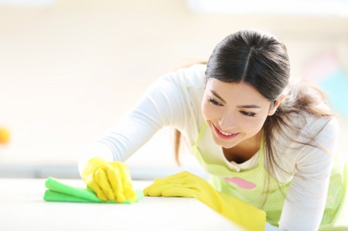 Professional cleaning process for carpets and fabric surfaces