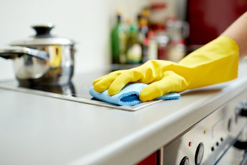 Keyboard-focused browsing support for an accessibility-friendly cleaning website