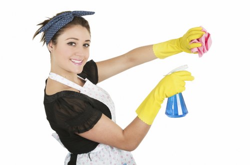 Cleaner treating different sofa materials in Tooting Bec