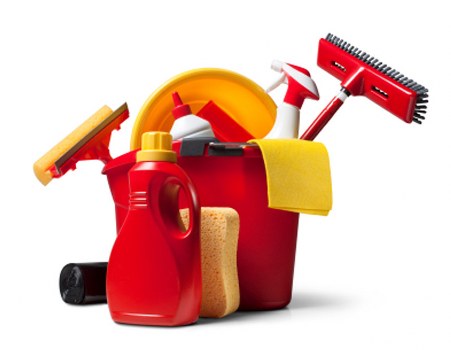 Investigation of a carpet cleaning concern with service notes